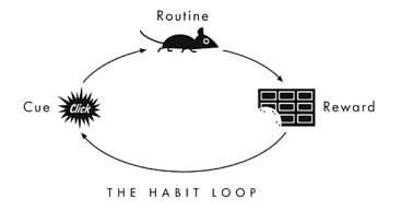 habit loop • Neurita | Blog de Psicología